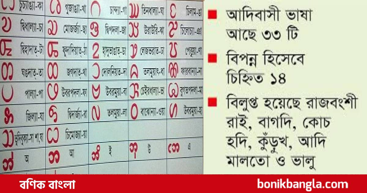 দেশের ১৪ ভাষা হারিয়ে যাবে?