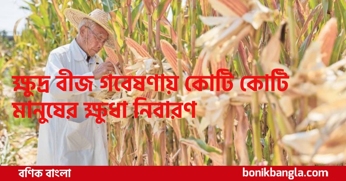 বীজে বীজে দিনবদল...