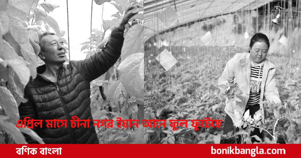 চীনা নগর ইয়ানের বাসন্তী বাগানে...