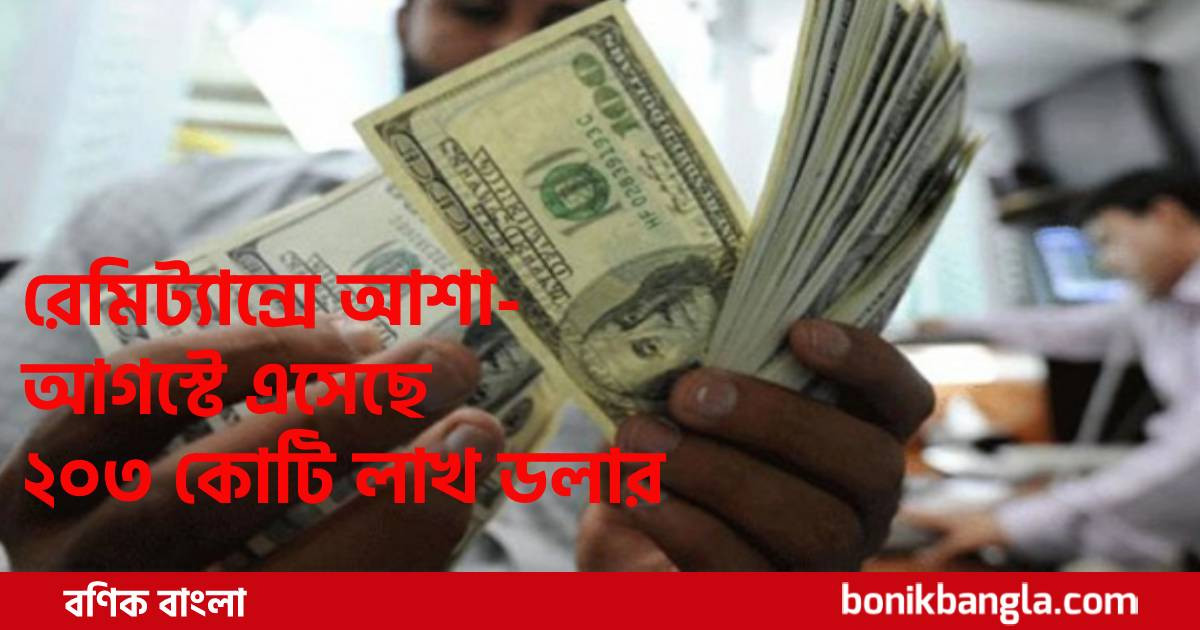 রেমিট্যান্সই ভরসা