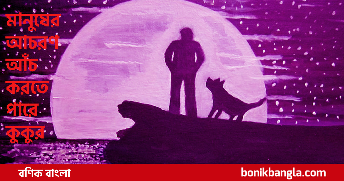 মানুষ বোঝে কুকুর!