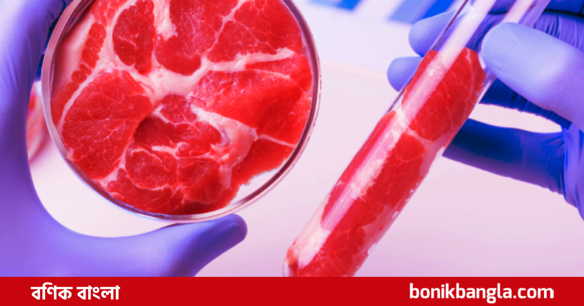 ল্যাবের মাংস এবার যুক্তরাষ্ট্রের বাজারে!