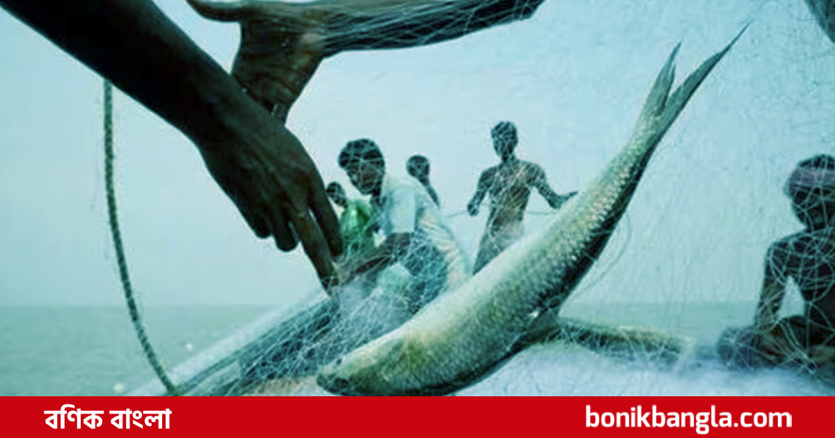 লক্ষ্যমাত্রা ৬ লাখ টন