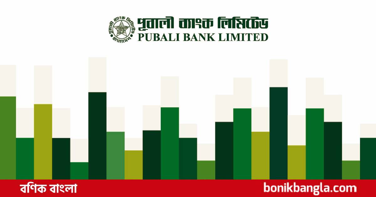 শেয়ারপ্রতি আয় বৃদ্ধি ৪১ পয়সা