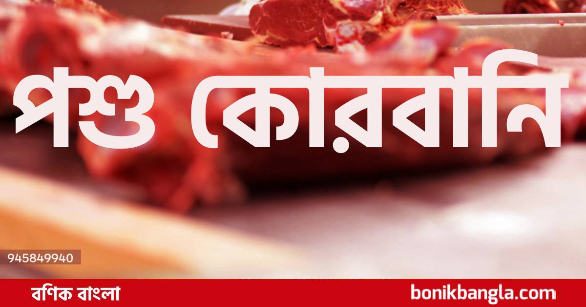 পশু কোরবানি বেড়েছে
