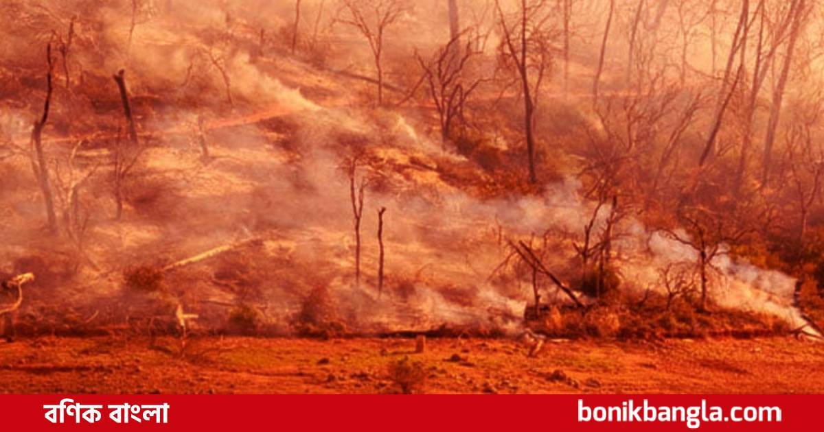 দাবানলে ক্যালিফোর্ণিয়া