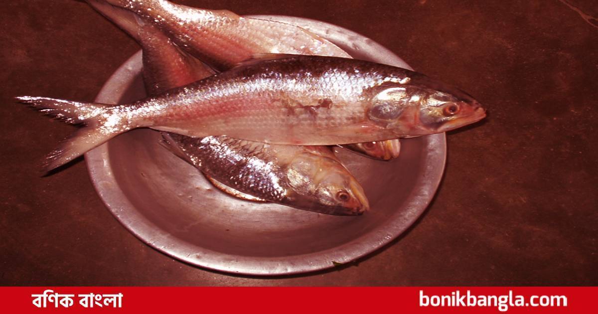 দেশজুড়ে