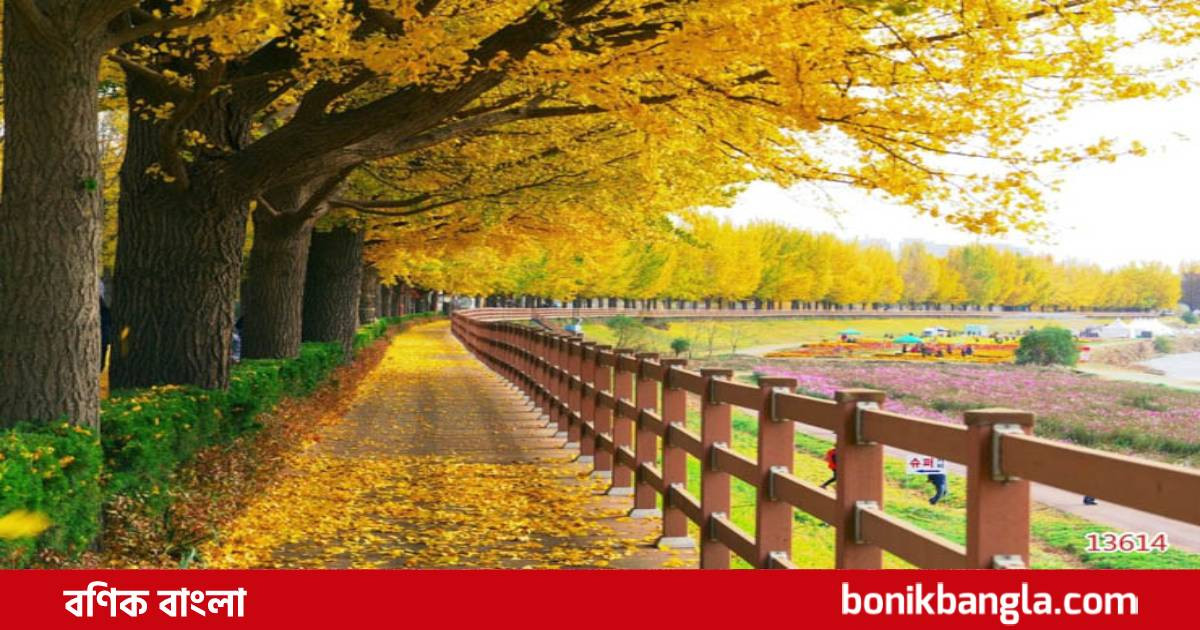 দক্ষিণ কোরিয়ার নয়ন জুড়ানো রুপ