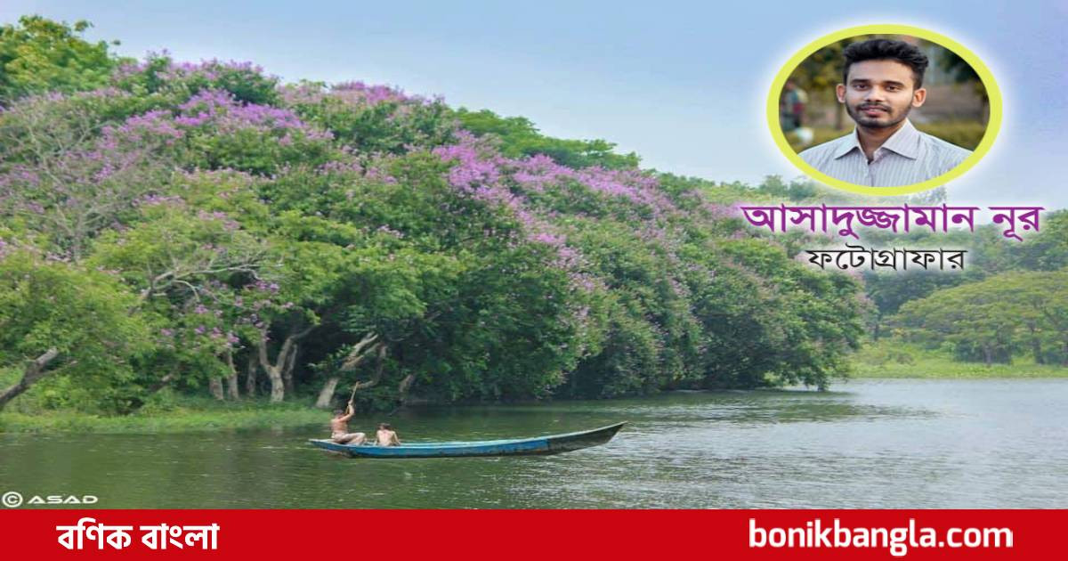 শখের ছবি তোলা থেকে স্বপ্ন শুরু