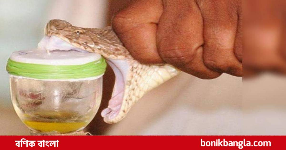 সাপের বিষ পাচারের রুট?